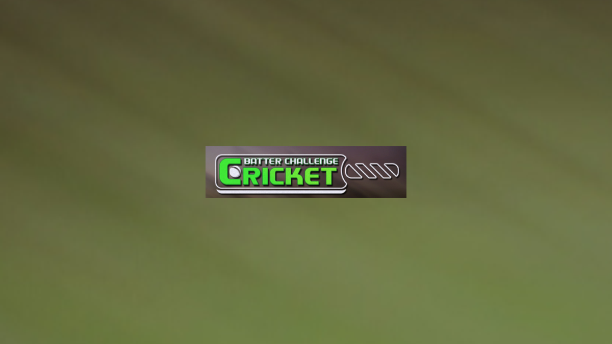 Cricket Batter Challenge